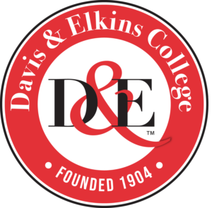 D&E emblem logo